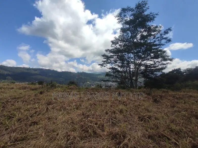 Beautiful Land Plots in Pussalawa