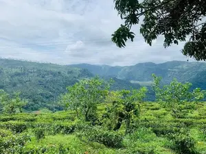 Pudaluoya ඉඩමක්