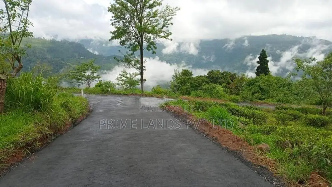 Pudaluoya ඉඩමක්
