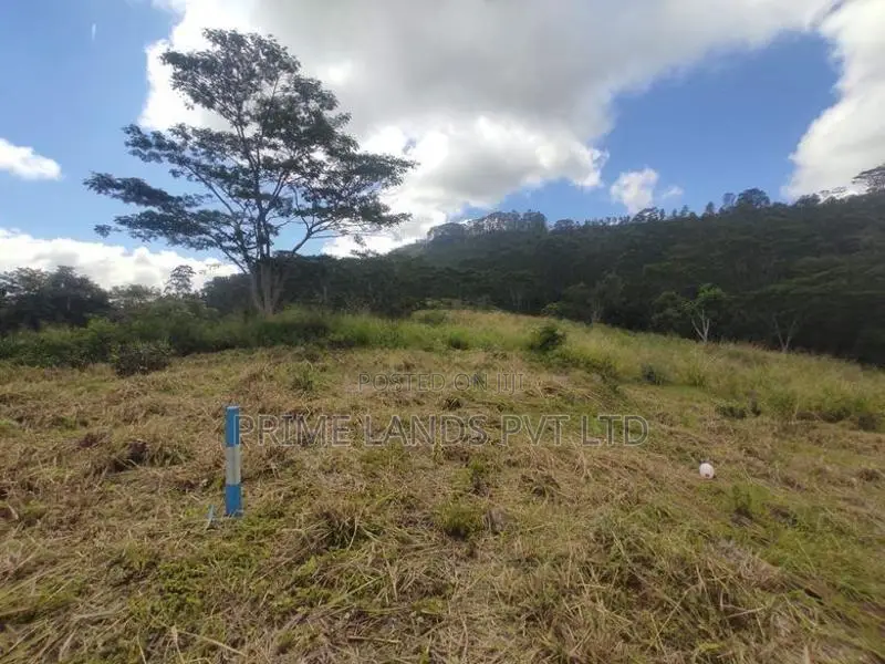 Pussalawa Land Sale