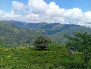 Pudaluoya ඉඩමක්