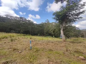Beautiful Land Plots in Pussalawa