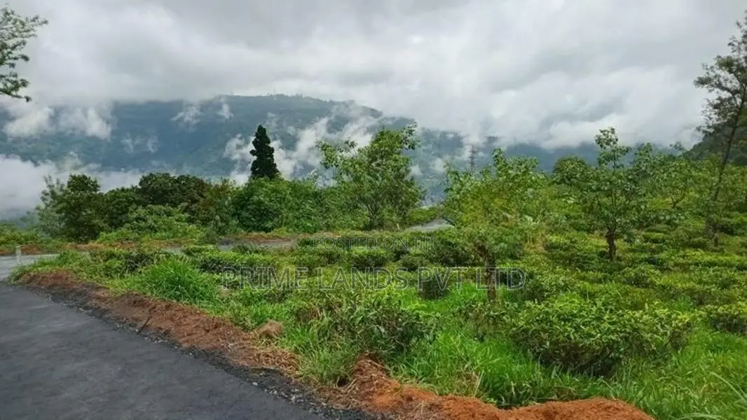 Pudaluoya ඉඩමක්