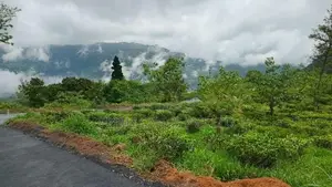 Pudaluoya ඉඩමක්