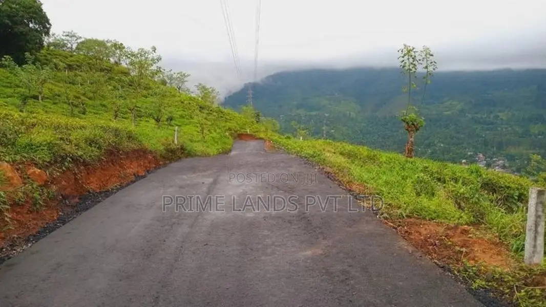 Pudaluoya ඉඩමක්