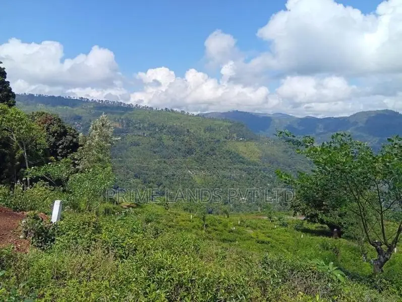 Pudaluoya ඉඩමක්