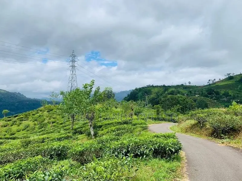 Pudaluoya ඉඩමක්