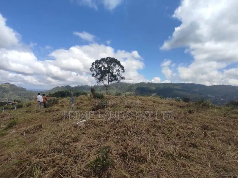 Beautiful Land Plots in Pussalawa