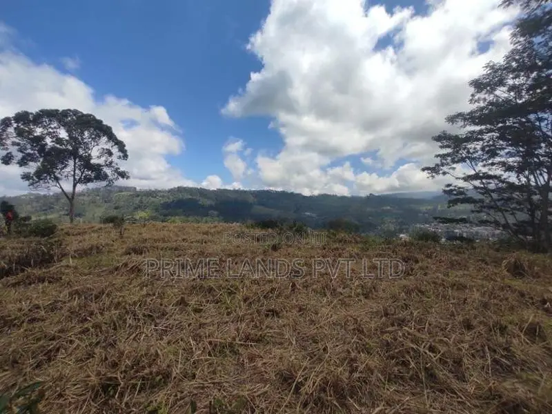 Pussalawa Land Sale