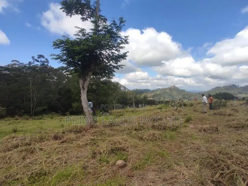 Beautiful Land Plots in Pussalawa