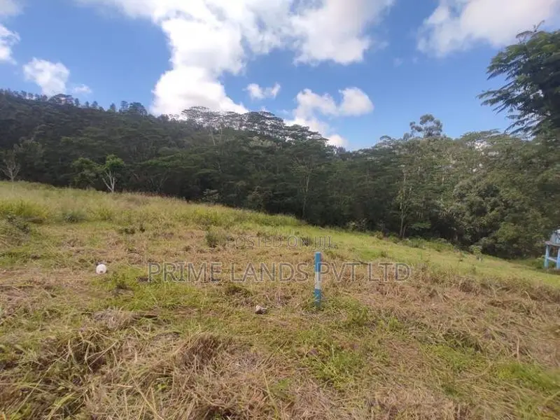 Beautiful Land Plots in Pussalawa