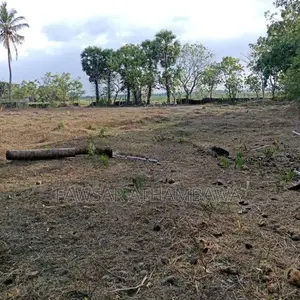 வயல் 2-5 ஏக்கர் மற்றும் குடியிருப்பு பூமி 1 Batticaloa