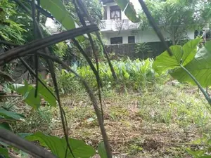 Land for Sale Talawathugoda