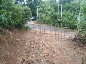 3.65 Acres Cinnamon Land With Oil Boiler For Sell in Kamburupitiya
