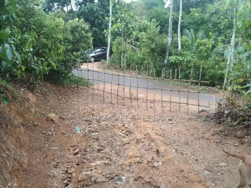 3.65 Acres Cinnamon Land With Oil Boiler For Sell in Kamburupitiya