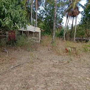 வயல் 2-5 ஏக்கர் மற்றும் குடியிருப்பு பூமி 1 Batticaloa