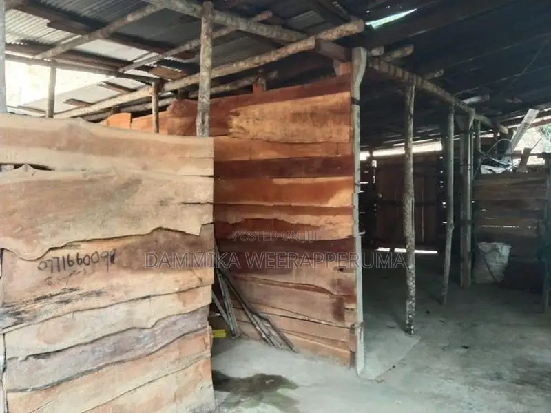 3.65 Acres Cinnamon Land With Oil Boiler For Sell in Kamburupitiya