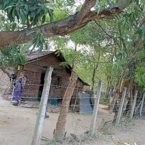 வயல் 2-5 ஏக்கர் மற்றும் குடியிருப்பு பூமி 1 Batticaloa