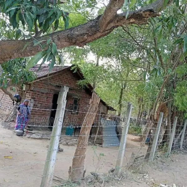 வயல் 2-5 ஏக்கர் மற்றும் குடியிருப்பு பூமி 1 Batticaloa