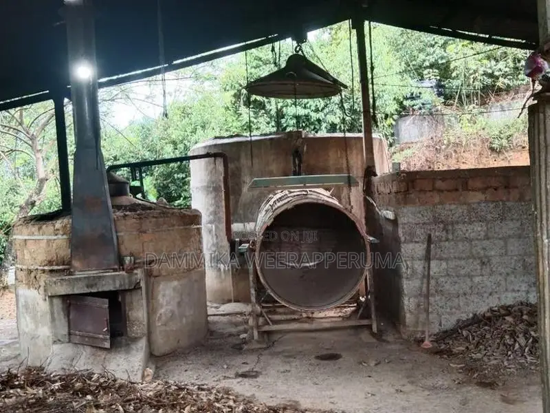 3.65 Acres Cinnamon Land With Oil Boiler For Sell in Kamburupitiya