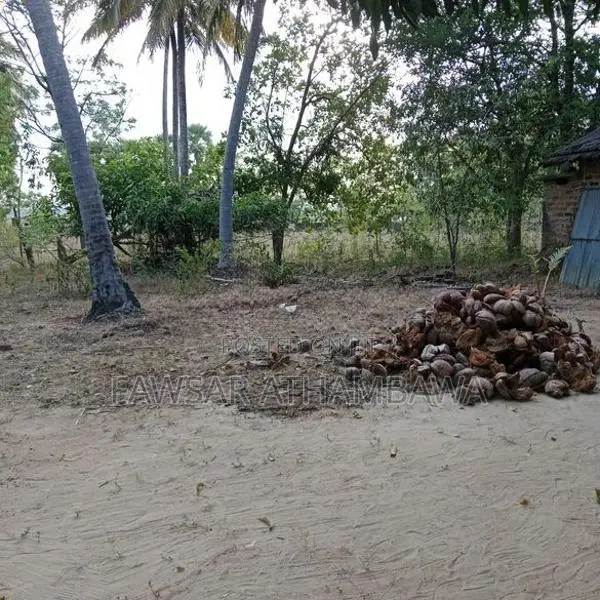 வயல் 2-5 ஏக்கர் மற்றும் குடியிருப்பு பூமி 1 Batticaloa