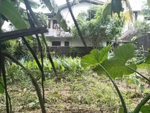 Land for Sale Talawathugoda