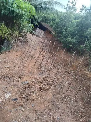 3.65 Acres Cinnamon Land With Oil Boiler For Sell in Kamburupitiya