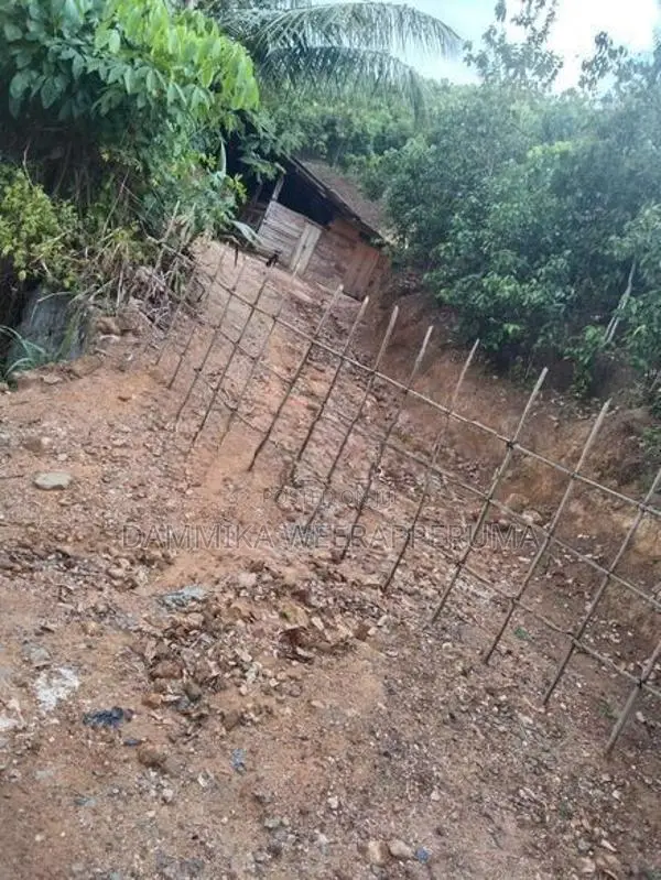 3.65 Acres Cinnamon Land With Oil Boiler For Sell in Kamburupitiya