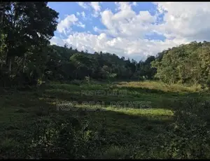 23+ Acre Estate for Sale Hataraliyadda
