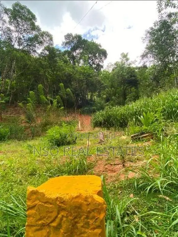 23+ Acre Estate for Sale Hataraliyadda