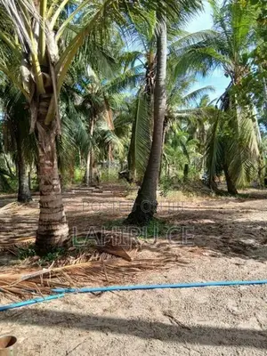 අගනා පොල් ඉඩමක් නිවසක් සමග විකිනීමට - මදුරන්කුලිය