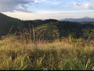 23+ Acre Estate for Sale Hataraliyadda
