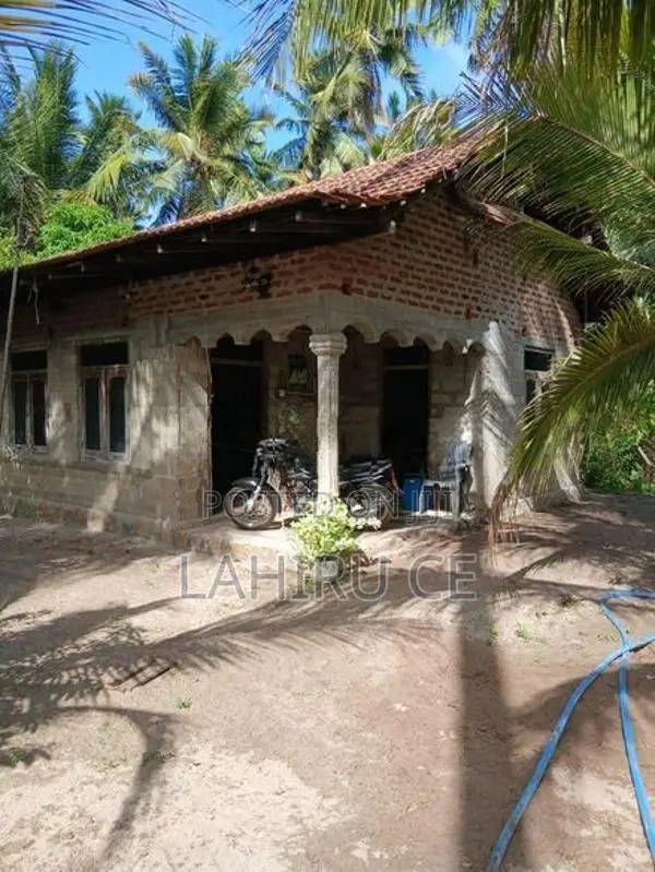 අගනා පොල් ඉඩමක් නිවසක් සමග විකිනීමට - මදුරන්කුලිය
