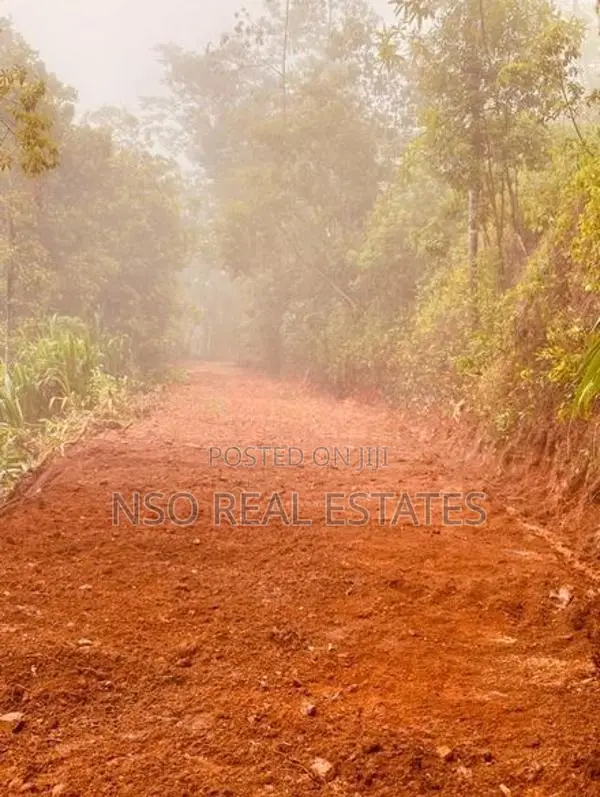 23+ Acre Estate for Sale Hataraliyadda