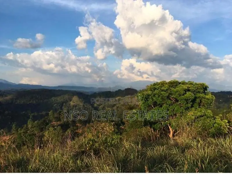 23+ Acre Estate for Sale Hataraliyadda