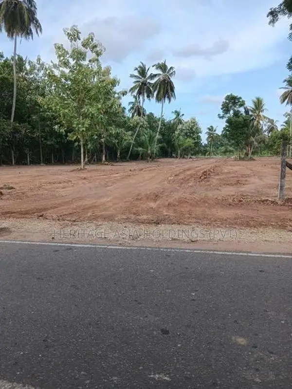පුජා නගරය පෙනෙන දුරින් ඉඩමක් අනුරාධපුර