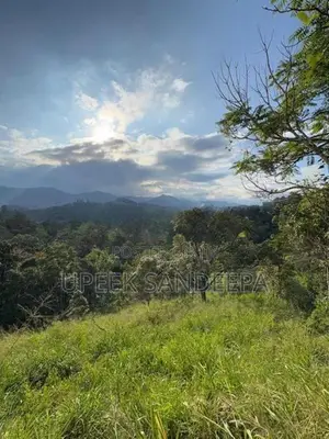 Diyatalawa Sinnakara Land for Sale