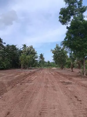 පුජා නගරය පෙනෙන දුරින් ඉඩමක් අනුරාධපුර