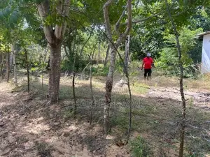 Land for Sale Jaffna