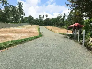Dikwella Tourists Land