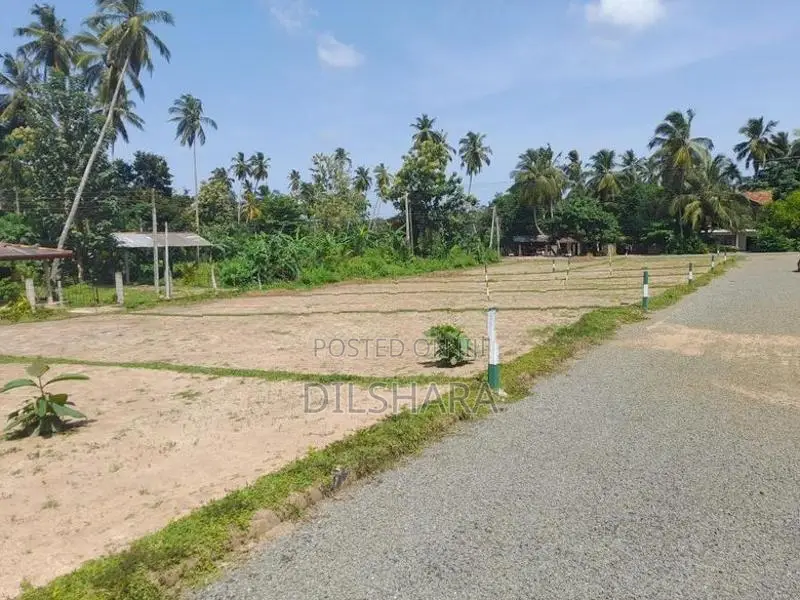 Beliatta Land