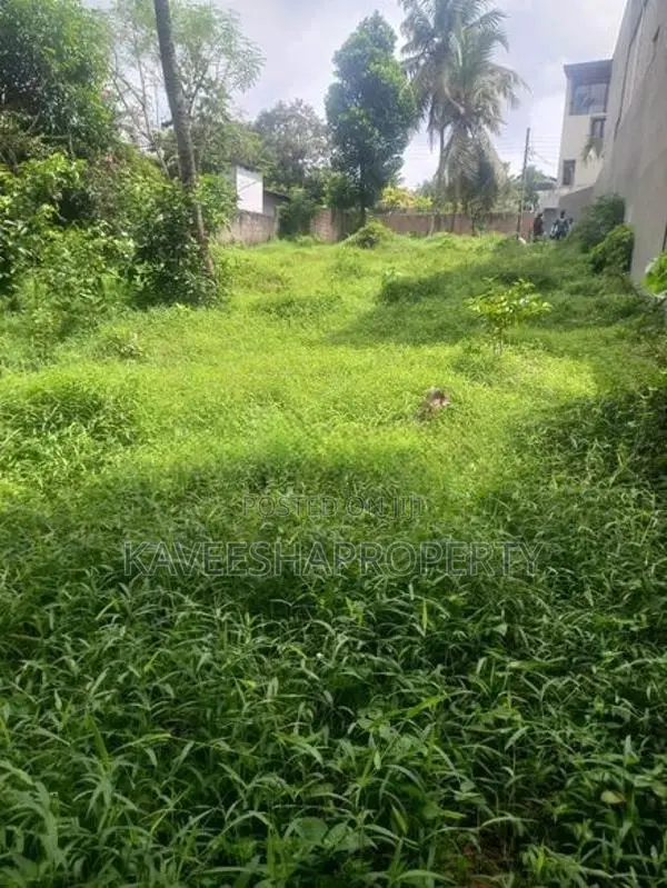 Land for Sale Thalahena