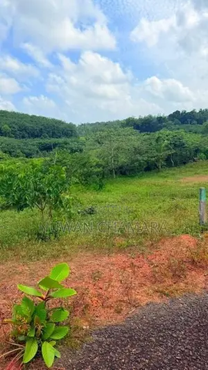 Land for Sale in Waskaduwa