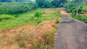 Land for Sale in Waskaduwa