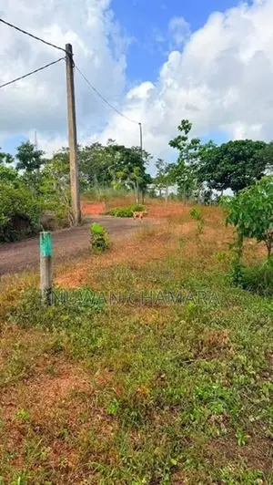 Land for Sale in Waskaduwa
