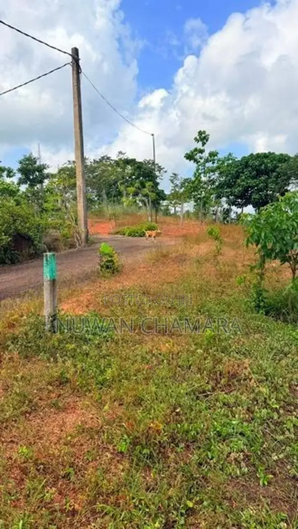Land for Sale in Waskaduwa