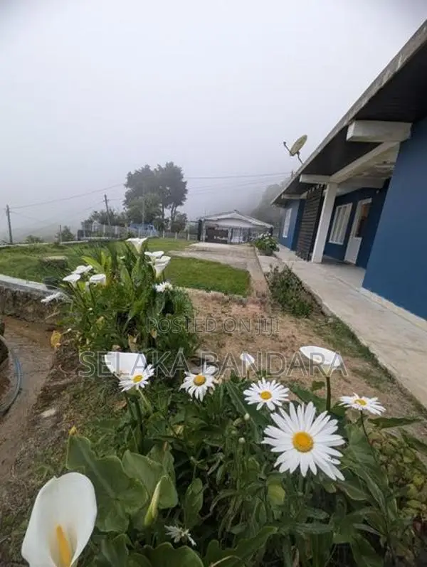 Holiday Bungalow for Short Term Rent Nuwara Eliya