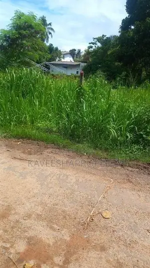 Land for Sale Thalahena