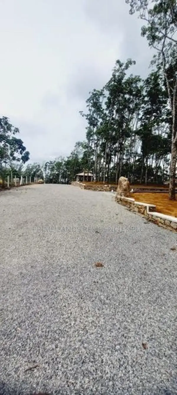 Land for Sale in Horana Ballapitiya