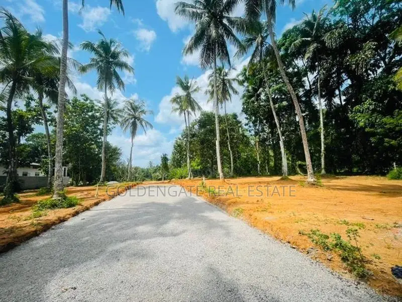 Yakkala නගරය ආසන්නයෙන් නුවර පාරට ඇවිදින දුරින් වටිනා බිම්කොටසක්